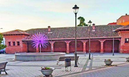 La reforma de las Antiguas Escuelas arranca en julio